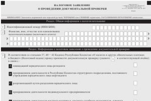 Steuerantrag zur Registrierung in der Republik Kasachstan