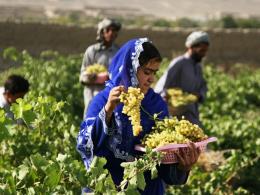 Afghánistán: historie od starověku až po současnost
