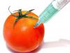 Stručná história GMO Geneticky modifikované palivové zdroje história vzniku článok