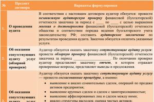 Что такое аудиторская проверка и для чего нужен аудит